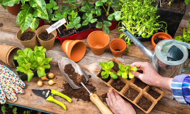 Gardening Workshops